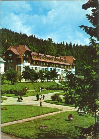 2041-1 - Borsec. Pavilionul central